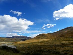 Ͳ���ƾ���Ƶ�����豻ƭ30����Ԫ��ִ�Ż�Ǯ ƭ�ӱ���(ͼ)...